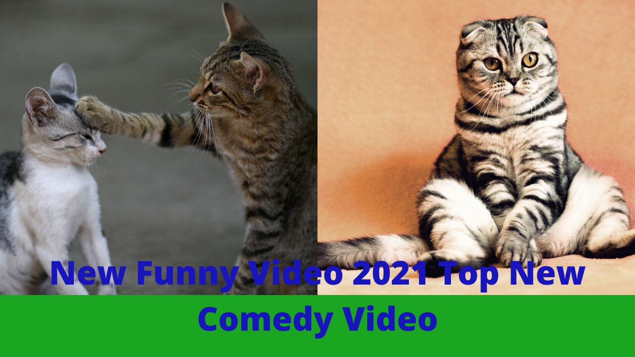 New Funny Video 2021 Top New Comedy Video