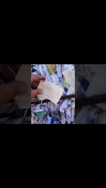 Homem acha vários título de eleitores no caminhão de lixo#news #brasil #mundo#eleições2022