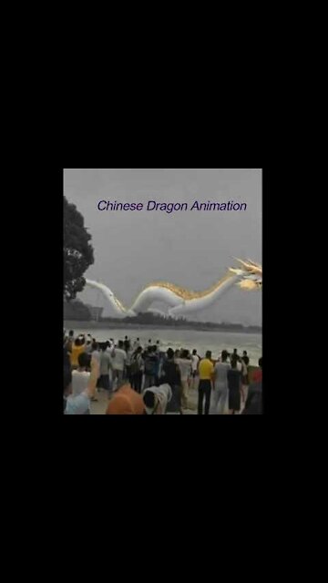Chinese Dragon 2021