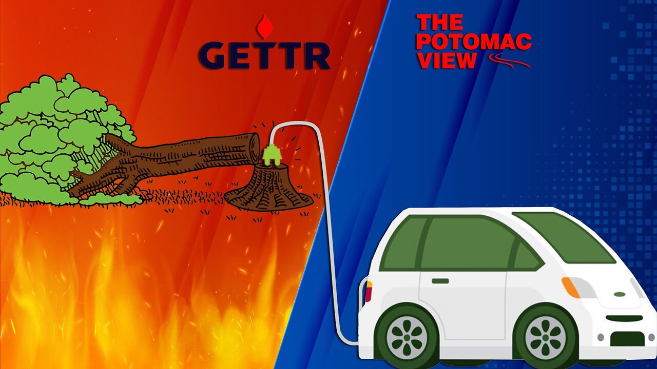 ENERGY CONTROL: Political Games Behind the Electric Cars