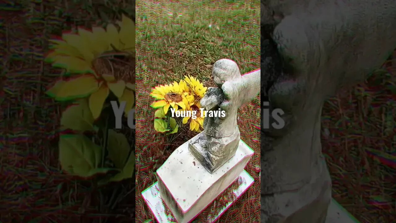 #infantgrave #taphophile #cemetery #tombstone #headstone #cemeterygates