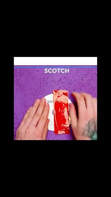 Science Experiments 1 #dailyhackness #Shorts #ytshorts #challenges #doityourself #useful