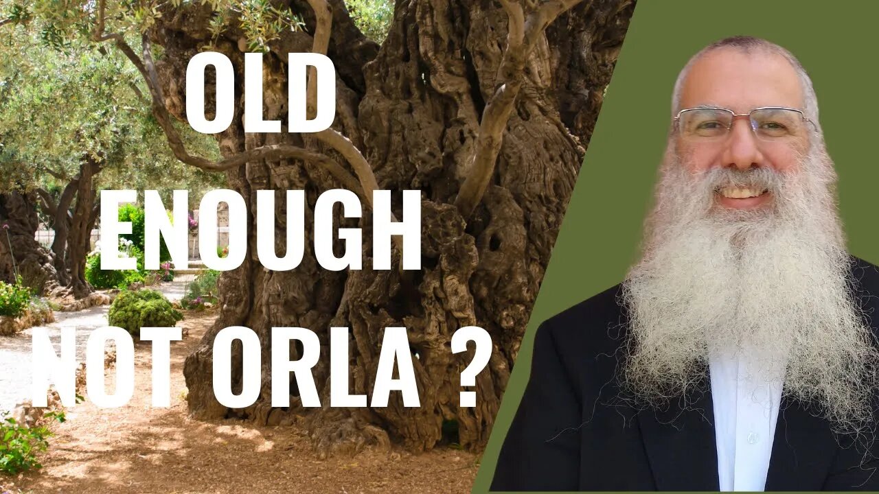 Mishna Orla chapter 1 Mishnah 2 old enough not orla?