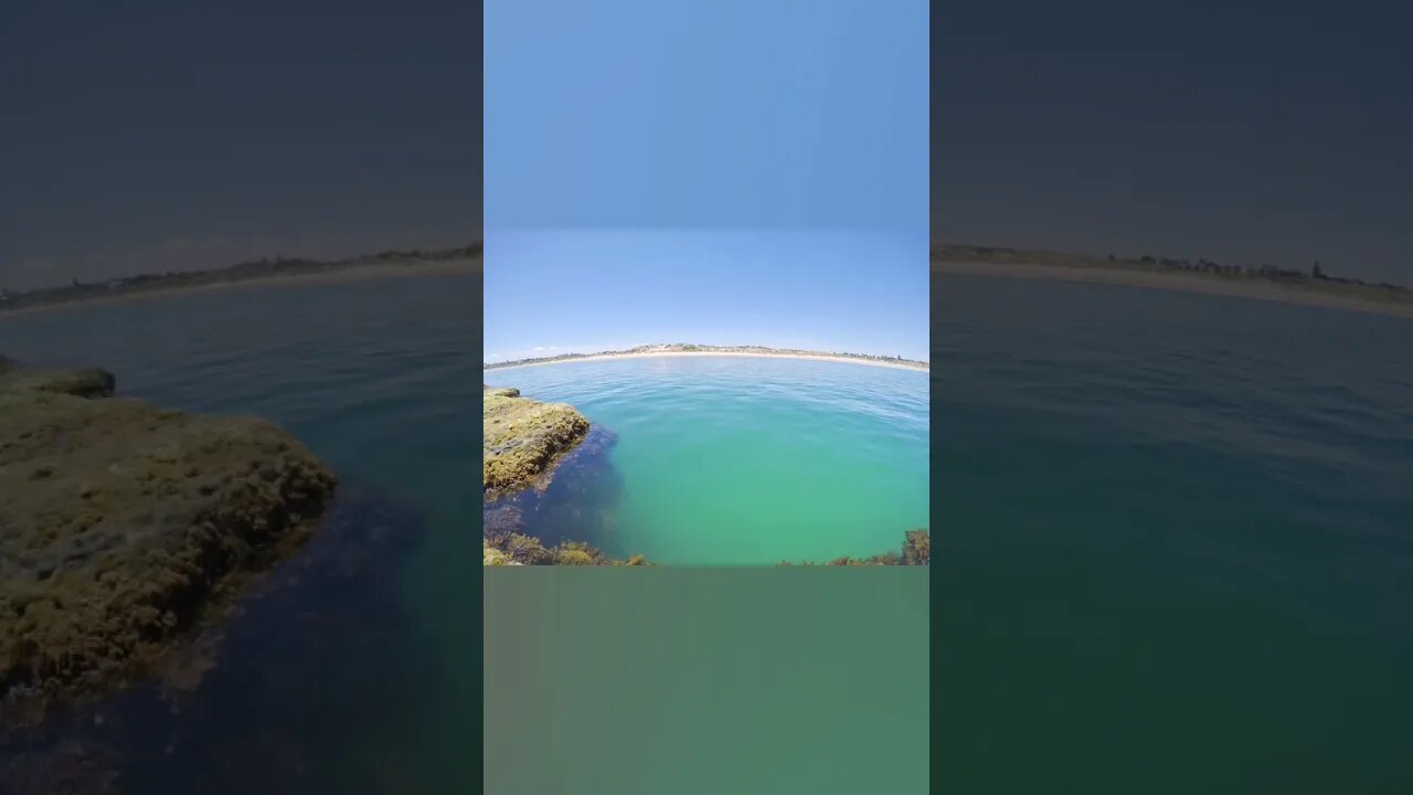 PORT NOARLUNGA REEF - SOUTH AUSTRALIAN- SECRET ROCK POOLS ?