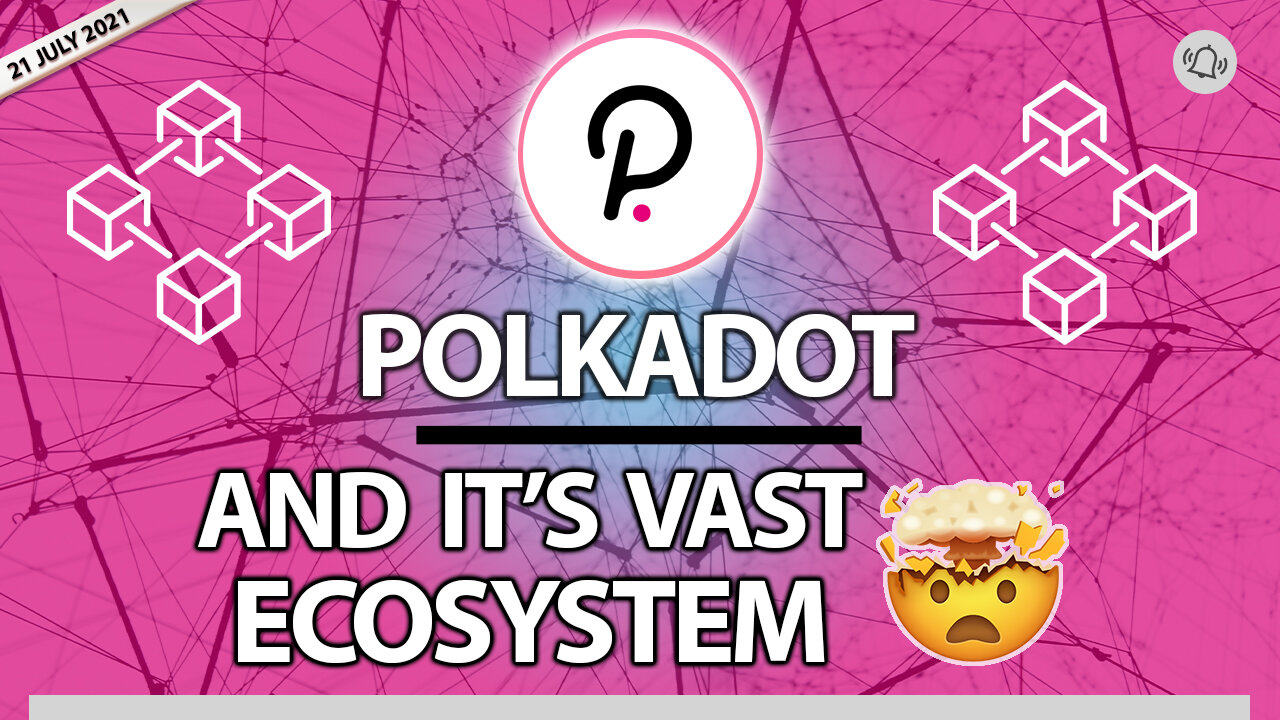 Polkadot and It's Vast Ecosystem