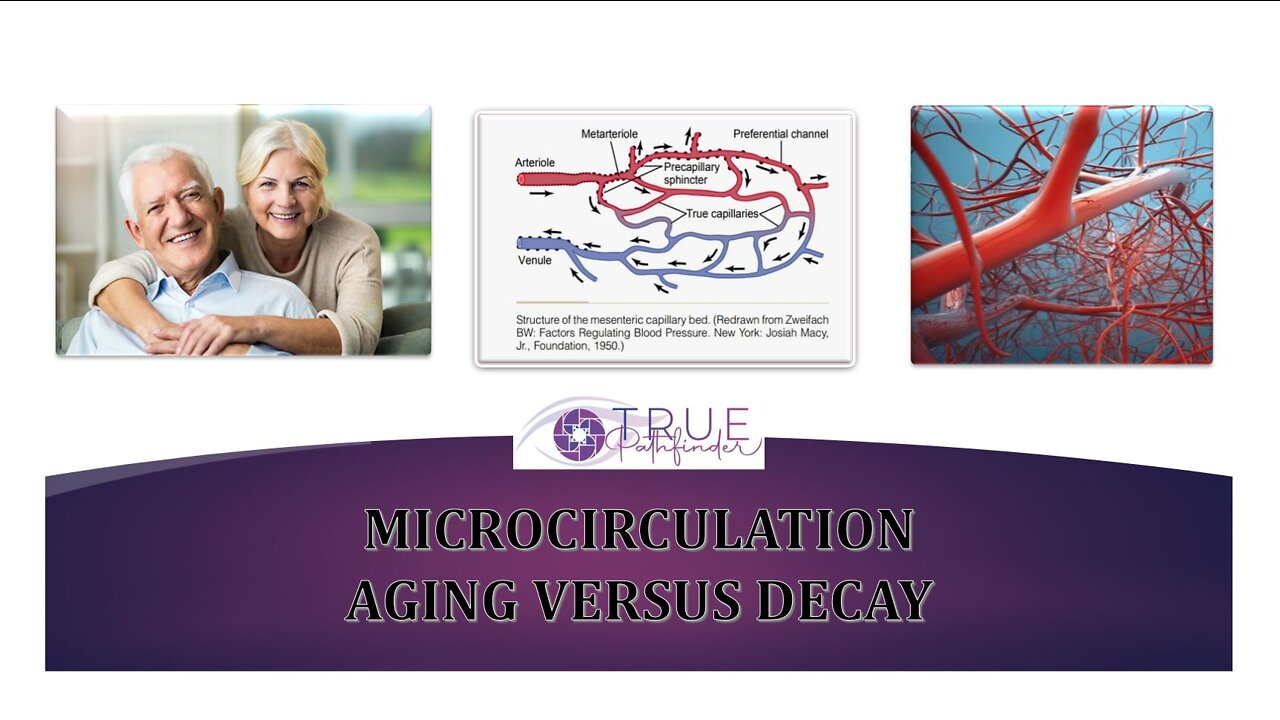 MICROCIRCULATION - AGING VERSUS DECAY | True Pathfinder