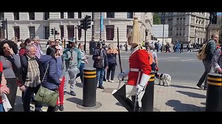 They move with fright 😱 #horseguardsparade