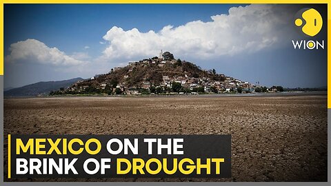 Drought parches Mexico: Drought imperils farmers and bees in Mexico's north | WION