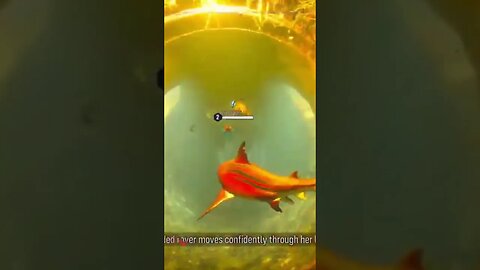 maneater have a little radiation with your fish