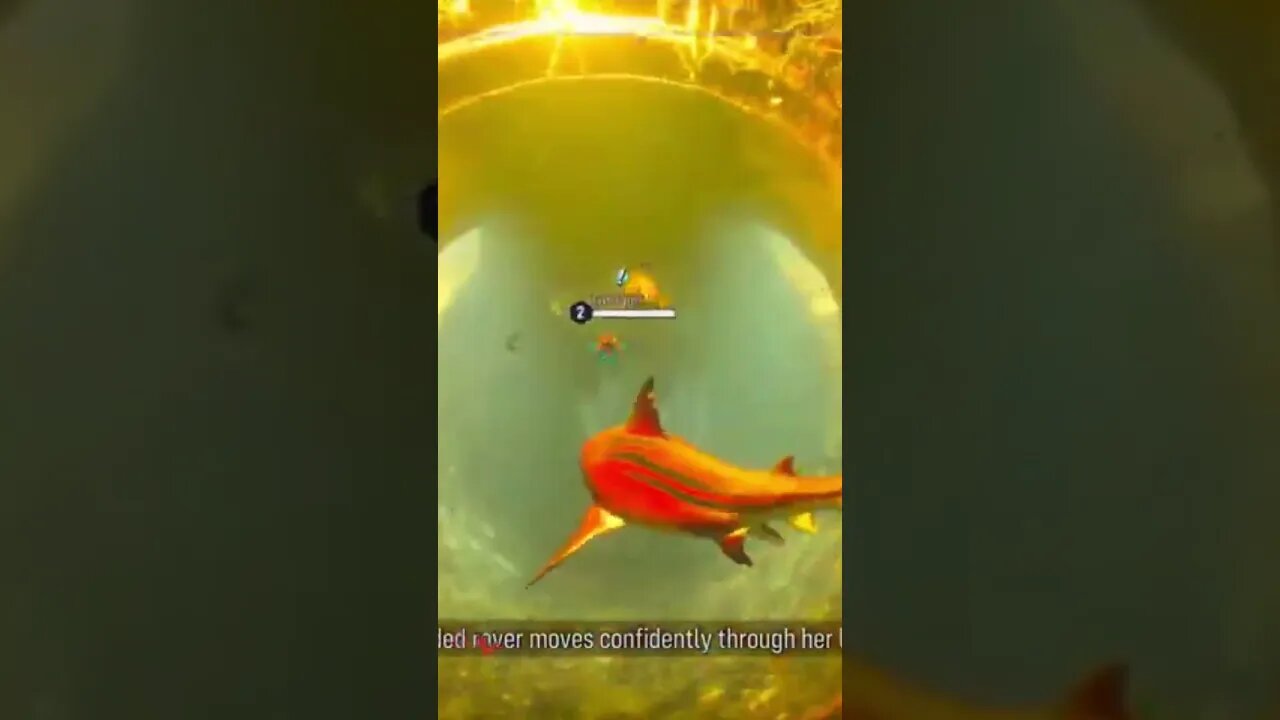 maneater have a little radiation with your fish