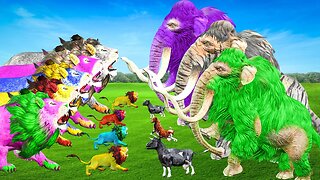 5 Zombie Mammoths Saves Cow Life Vs 5 Zombie Lions Epic Fight Vs Mammoth Elephant Epic Battle Fight