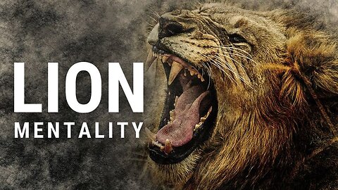 LION MENTALITY - MOTIVATIONAL VIDEO