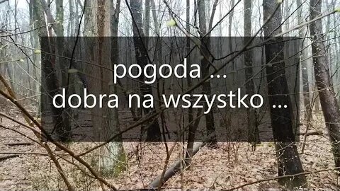 pogoda... dobra na wszystko...