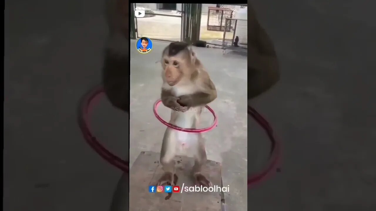patli kamriya #shorts