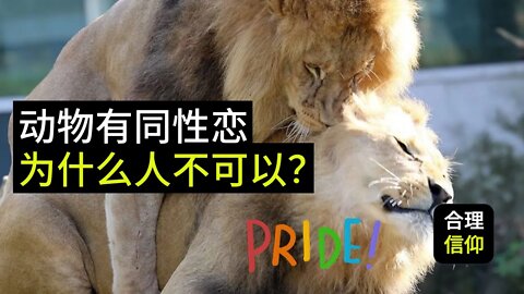 动物都有同性恋，为什么人不可以同性恋？【信仰问题解答】