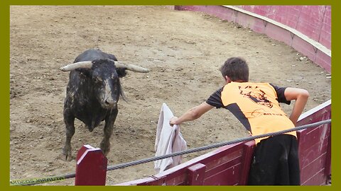 ARGUEDAS ( NAVARRA ) TARDE VACAS PLAZA Y CALLE ( DOMINGO 13 AGOSTO 2023 ) GANAD.ALFREDO IÑIGUEZ