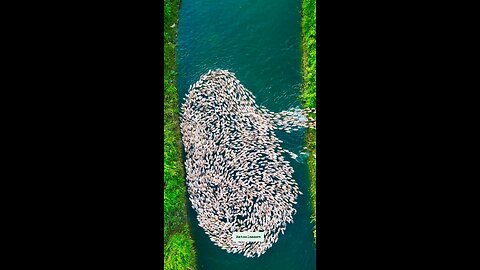 Comment it who all are those