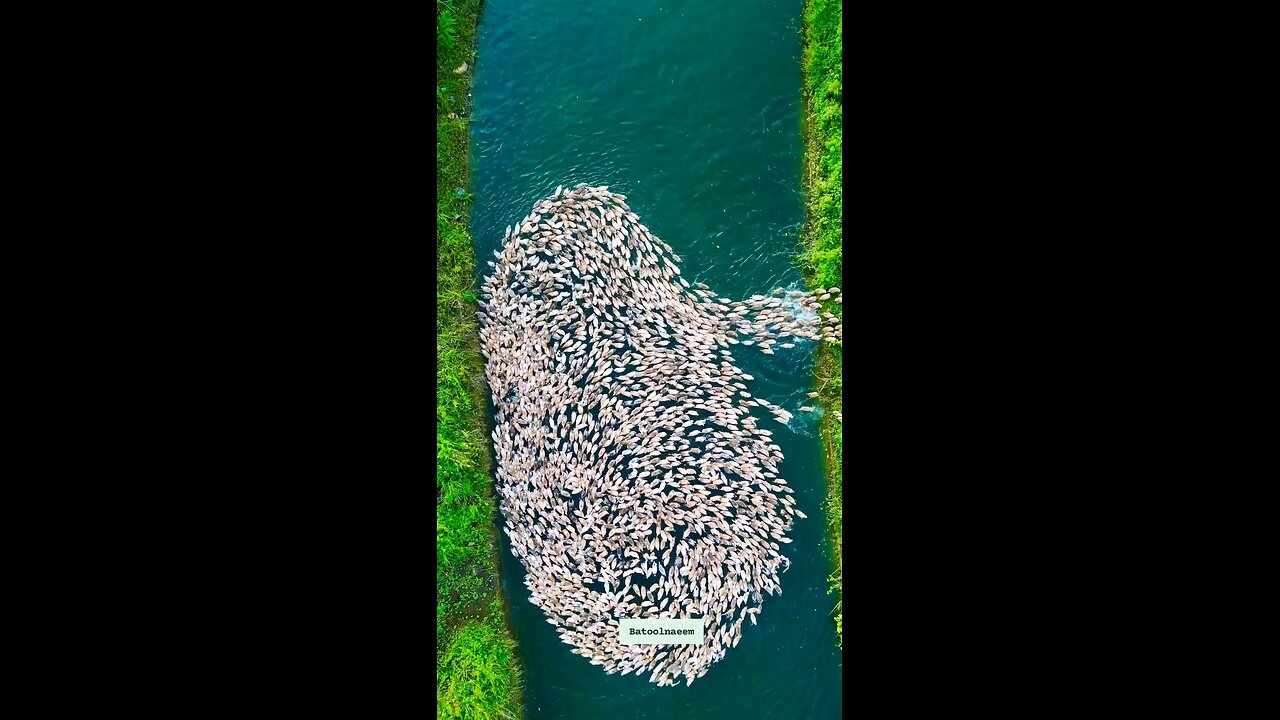 Comment it who all are those