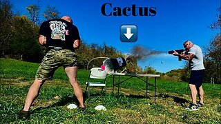 (TheBellLife Bangs) VS Cactus!!!