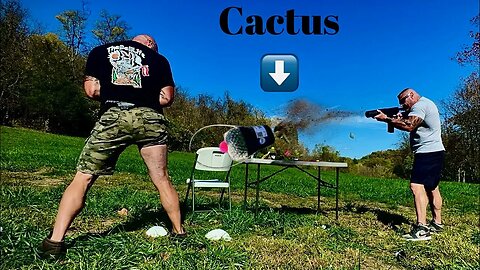 (TheBellLife Bangs) VS Cactus!!!