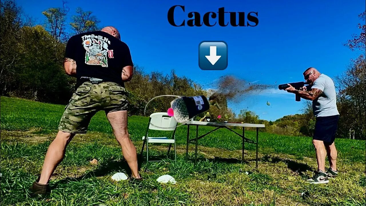 (TheBellLife Bangs) VS Cactus!!!