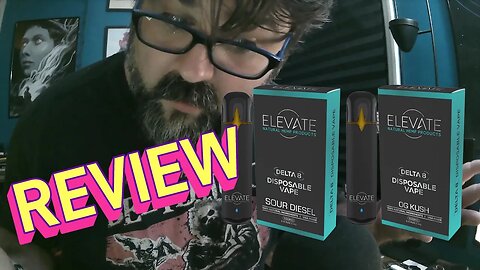 ELEVATE'S AM/PM Delta-8 Disposable Vape Bundle - Sour Diesel and OG Kush REVIEW