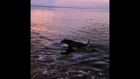 Charlie at Cat Point