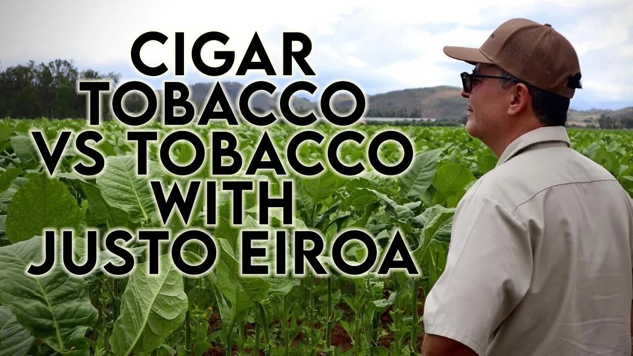 Cigar Tobacco vs Tobacco with Justo Eiroa of Aladino