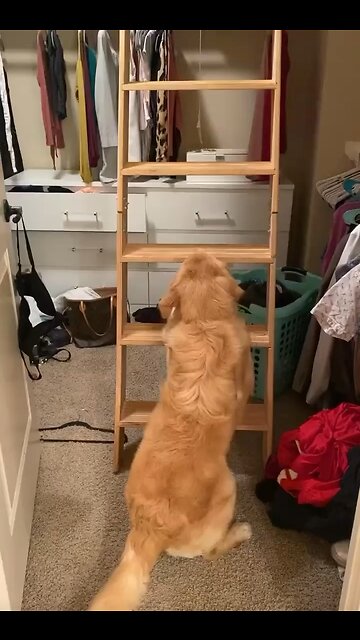 Anything is possible with the power of the MURPH