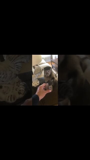 Moms cleaning kitchen so I’m hanging out in the livingroom! I’m almost 8 I’m #Shorts