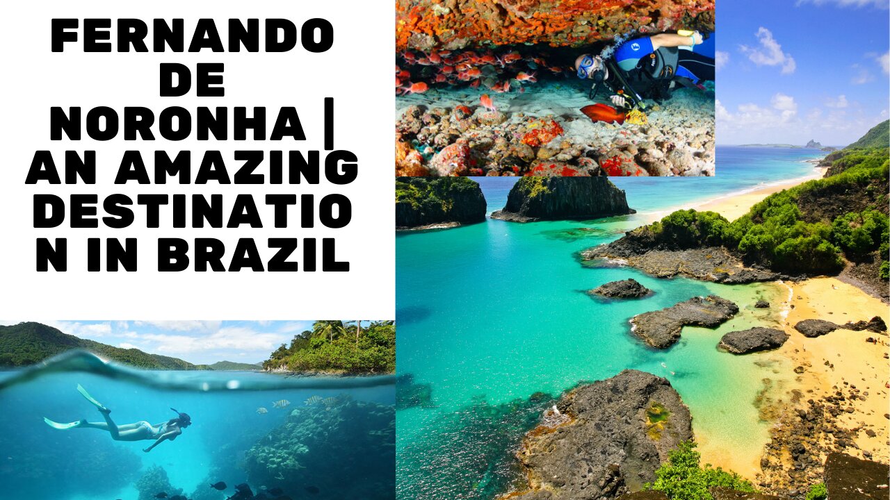 FERNANDO de NORONHA | An AMAZING destination in Brazil