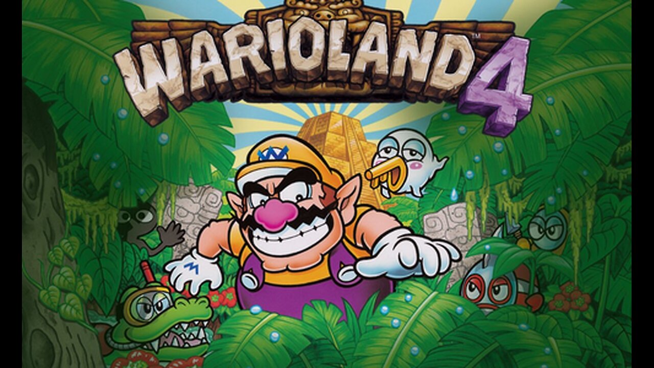 Hurry Up!! | Wario Land 4