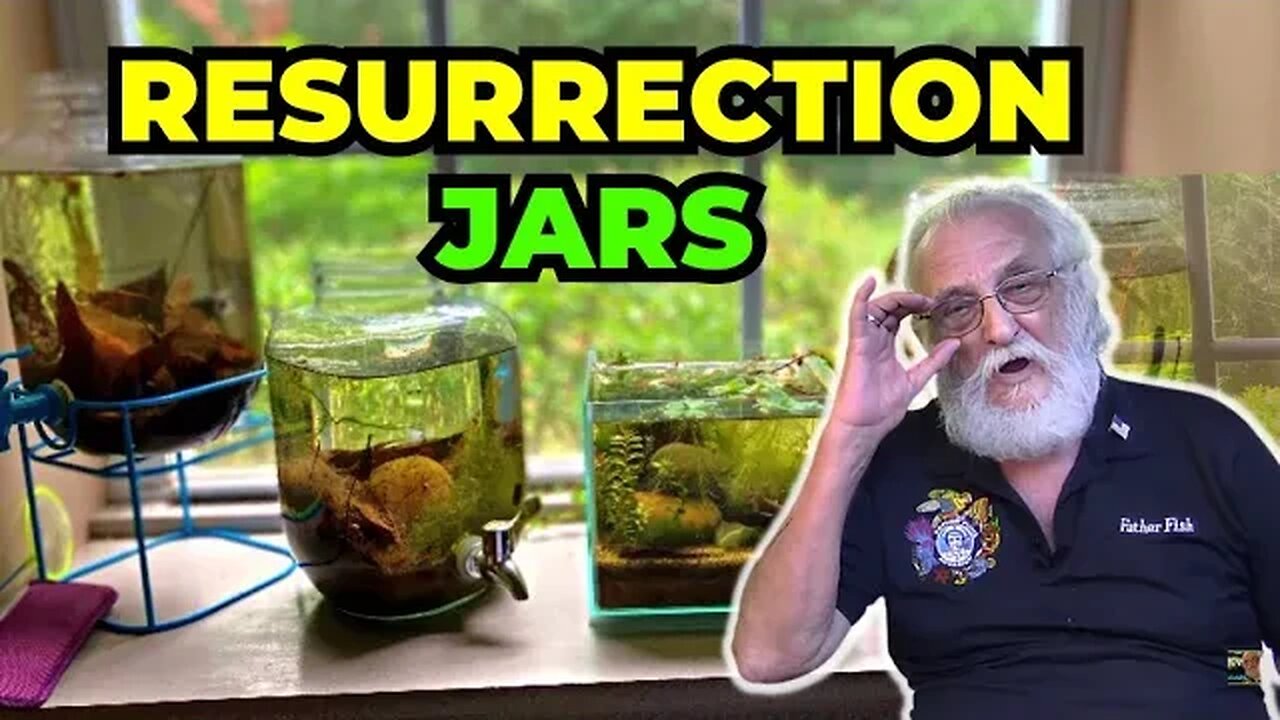 What is a Resurrection Jar? How does it Feed my Aquarium?