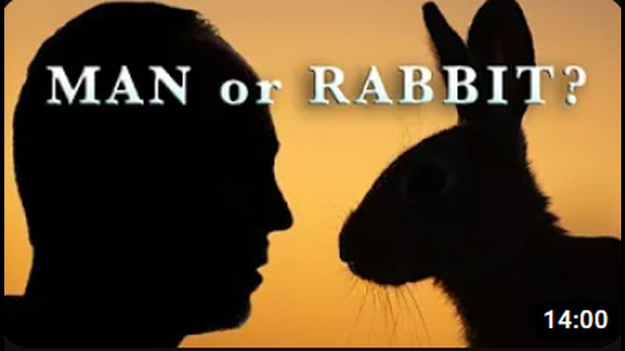 Man or Rabbit? by C.S. Lewis