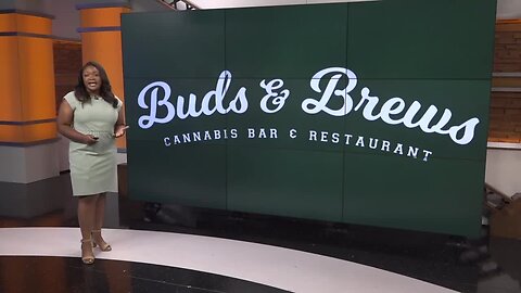 Buds & Brew New Cannabis Restaurant in Memphis