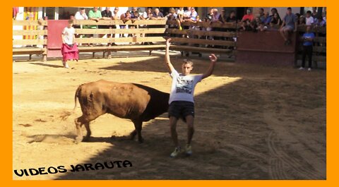 MALLEN ( ZARAGOZA ) MATINAL VACAS PLAZA ( SABADO 10 SEPTIEMBRE 2022 ) MERINO