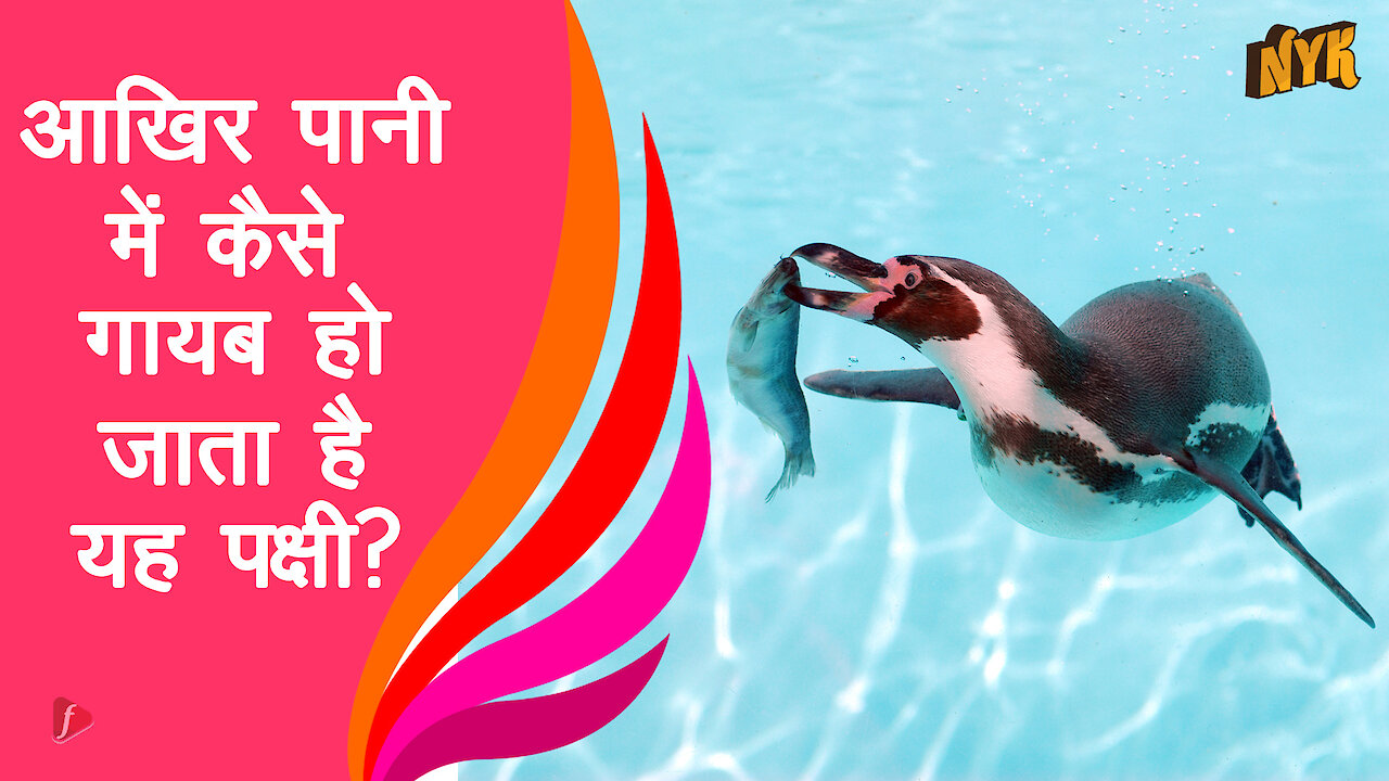 क्या अनोखा है इस पक्षी के रंग मे ?