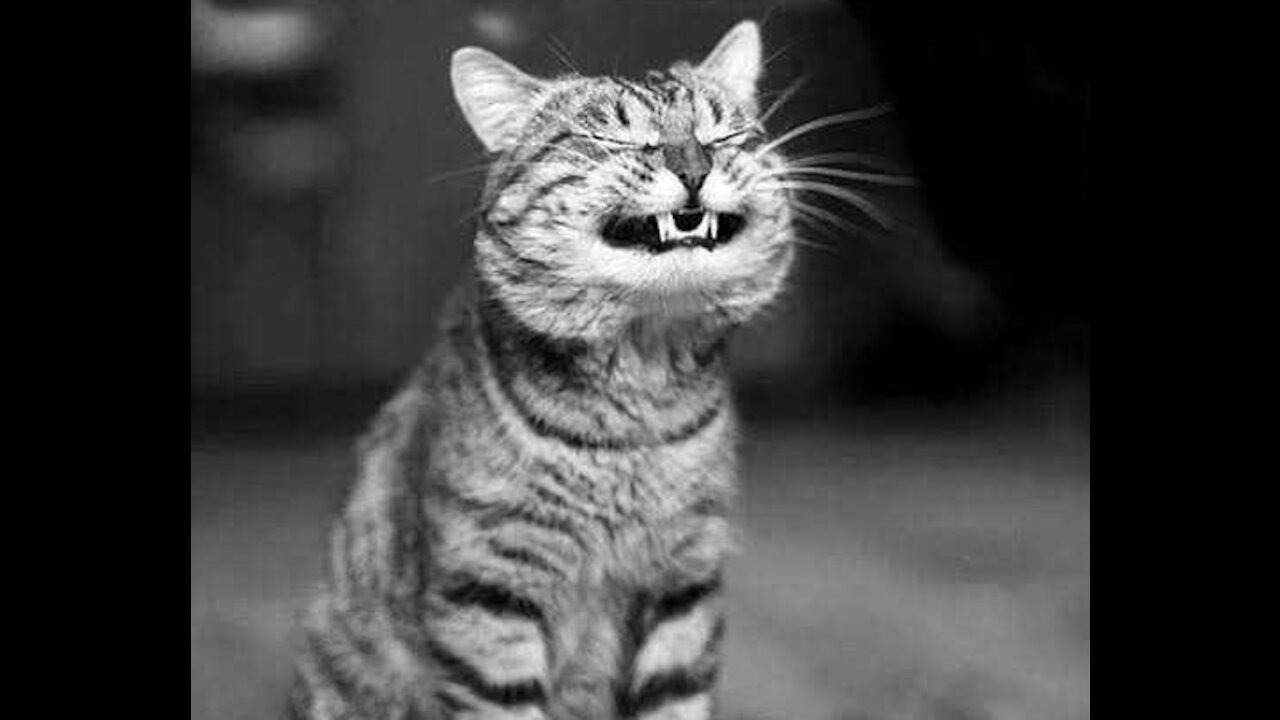 Funny video, laughing is the best medicine, new funny video,,