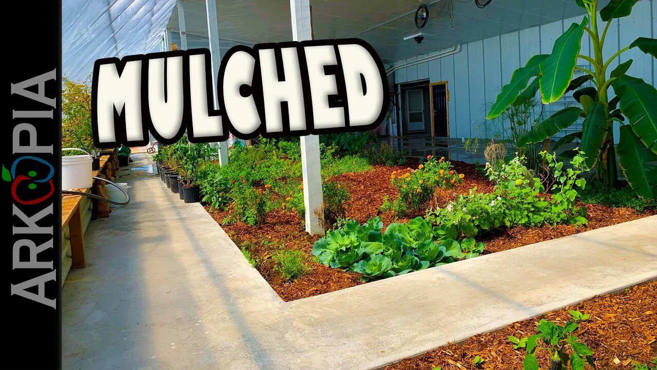 Mulching the Deep Winter Greenhouse - Western Red Cedar - Back to Eden Gardening - Wood Chips