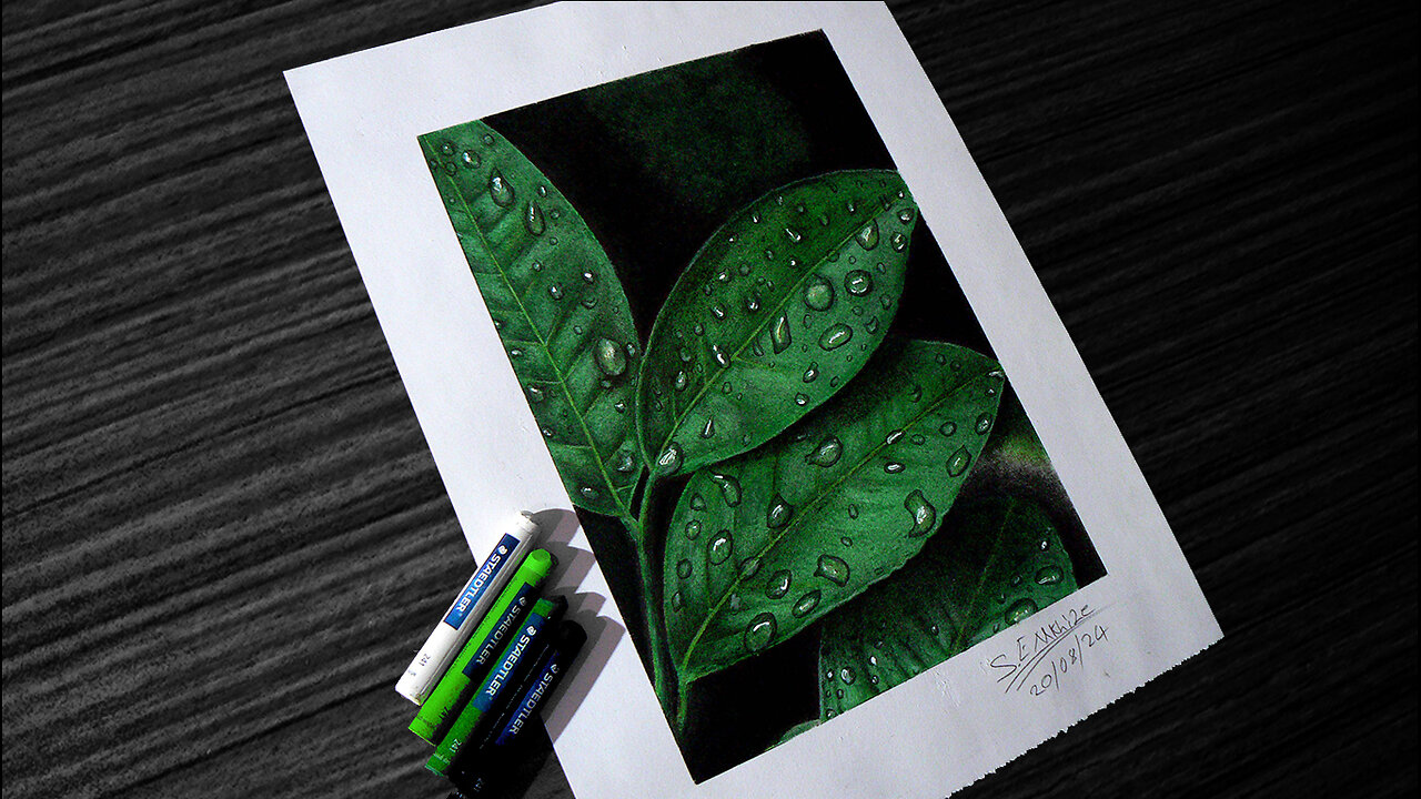 Oil pastel Drawing/Drawing Leaves With Water Drops.