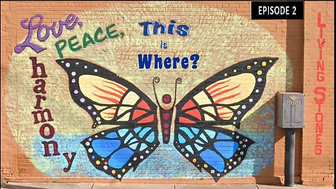 I found the Sparta 10' Butterfly!