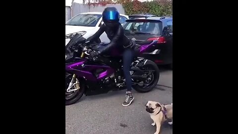 Cute Dog vs Bike 😂#UbertainmentFun #Shorts #ytshorts #Dogs #Animals #Fun