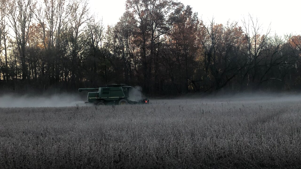 Soybean Harvest