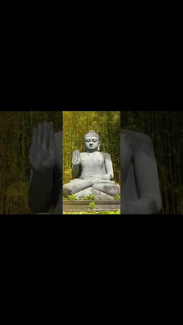 1 Minute Meditation I CREATE A BLISSFUL LIFE #shorts #youtubeshorts #1minutemeditation #ommeditate