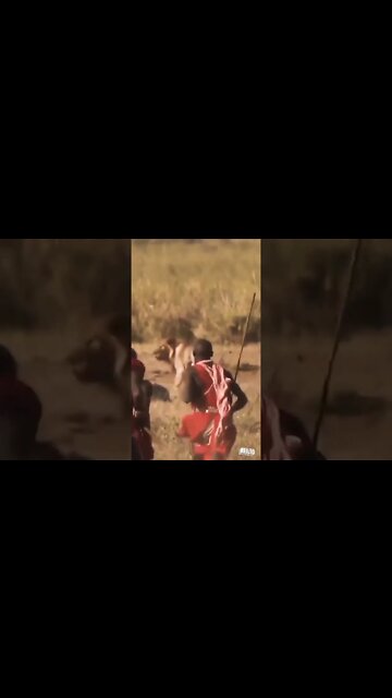 USA 🇺🇲 VS AFRICA 🦁