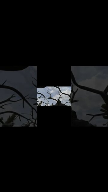 The Zone Sure Is A Spooky Place Stalker Anomaly Moments #shorts #shorts30 #stalkeranomaly #gaming