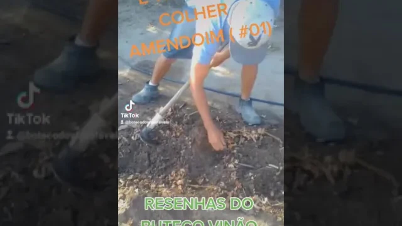 AMENDOIM É VIDA