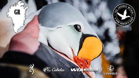 FIRST EVER Filmed Hunt for King Eiders in Greenland - The Journey Within, Waterfowl Slam