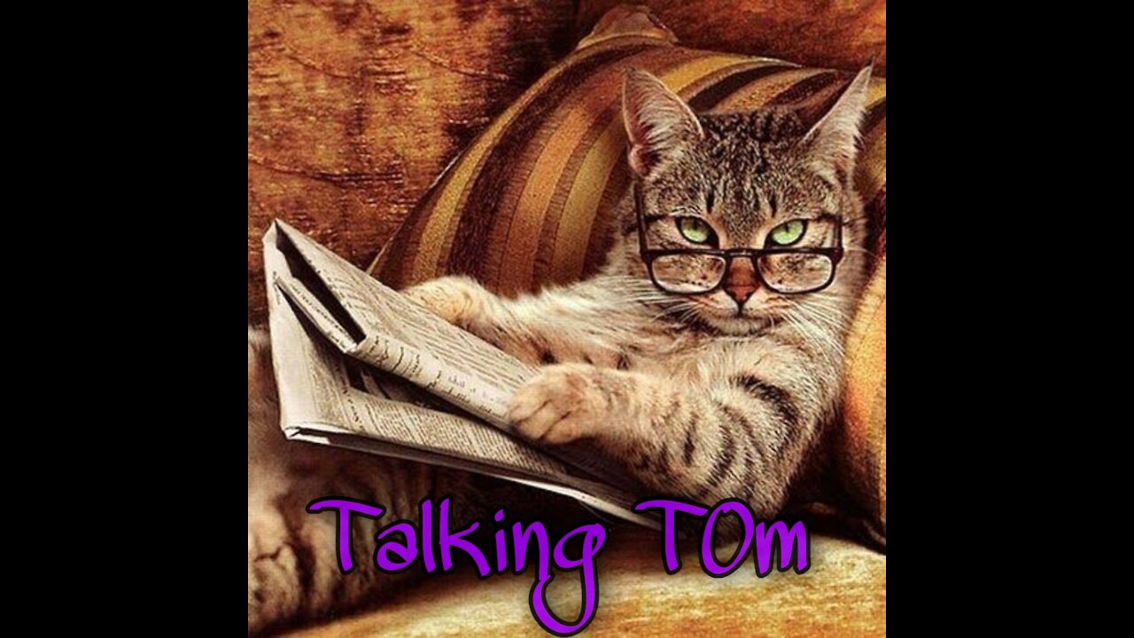 Cat speaking how this possible
