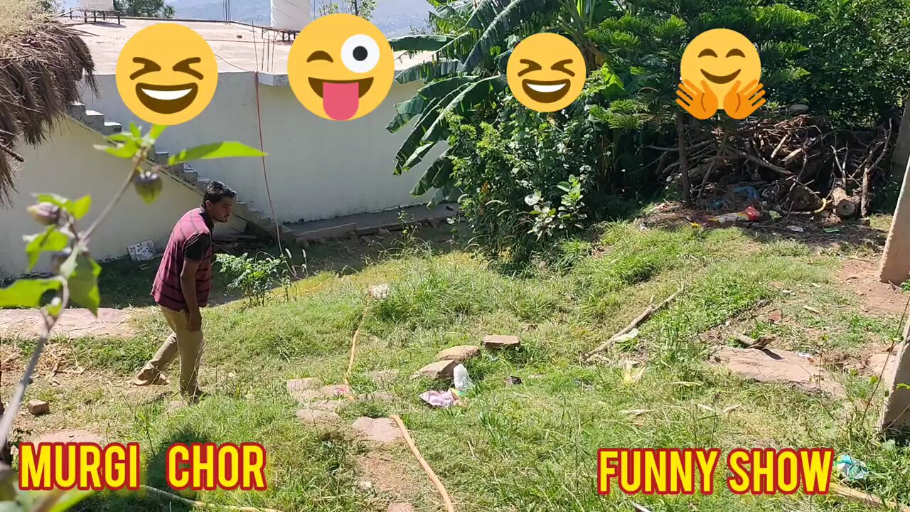 hen funny videos